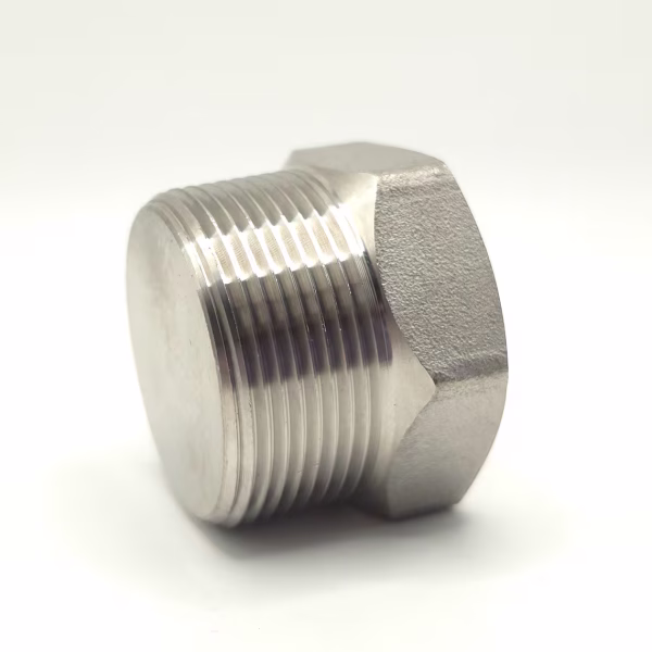 Forged Steel Hex Plug